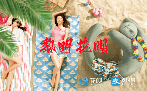 一目了然（一看就明白）花呗